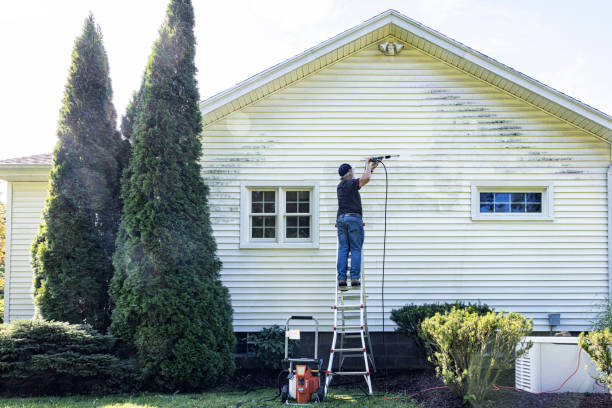Best Affordable Power Washing  in Braidwood, IL