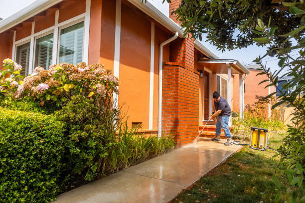 Best Exterior Home Cleaning  in Braidwood, IL