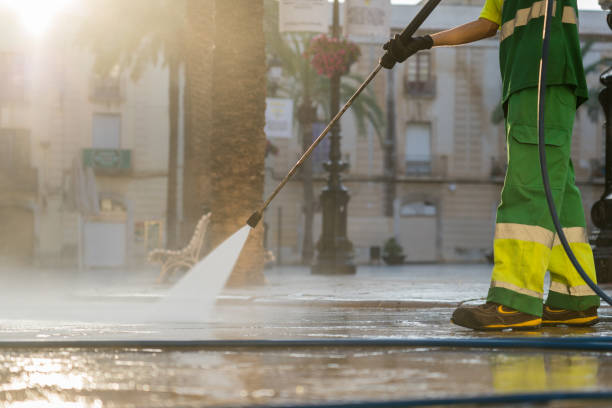 Best Roof Pressure Washing  in Braidwood, IL