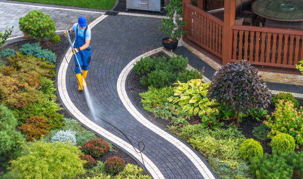 Best Concrete Pressure Washing  in Braidwood, IL